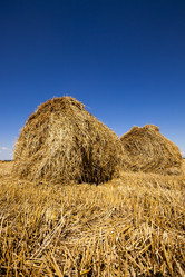 Similar image 10014619