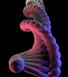 Similar image 10014655