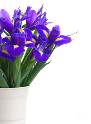 Similar image 10014711