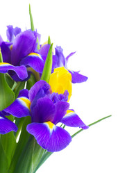 Similar image 10014716