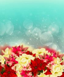 Similar image 10014726