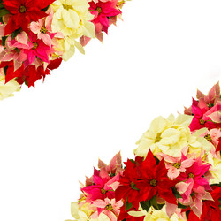 Similar image 10014731