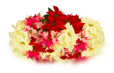 Similar image 10014733