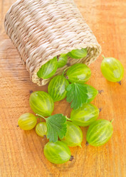 Similar image 10014852