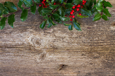 Similar image 10014885