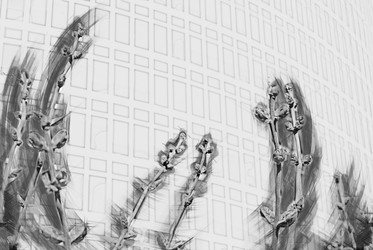 Similar image 10015032