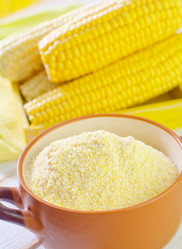 Similar image 10015103