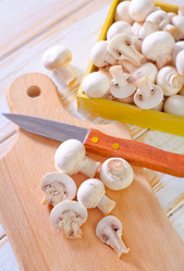 Similar image 10015261