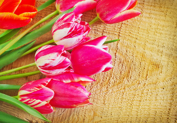 Similar image 10015415