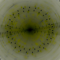 Similar image 10015448