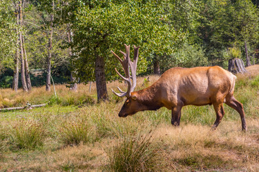 Similar image 10015546