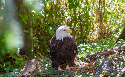 Similar image 10015547