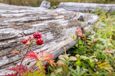 Similar image 10015557