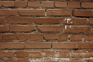 Similar image 10015654