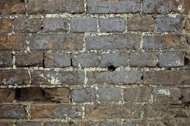 Similar image 10015890