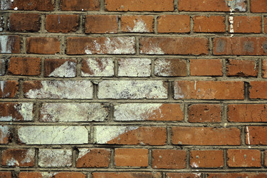 Similar image 10015910