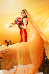 Similar image 10016122