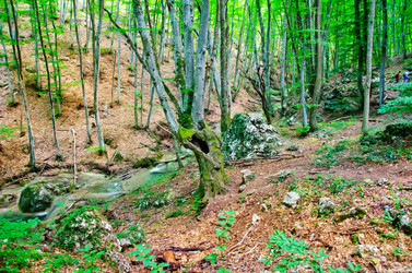 Similar image 10016321