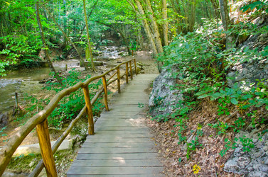 Similar image 10016323