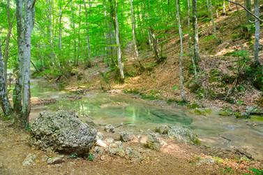 Similar image 10016325