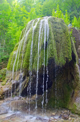 Similar image 10016429