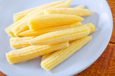 Similar image 10016500