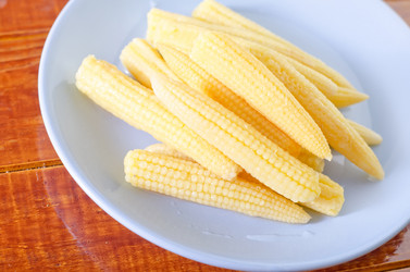 Similar image 10016503