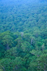 Similar image 10016511