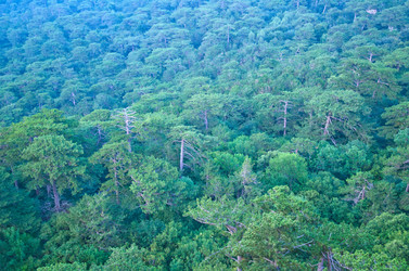 Similar image 10016513