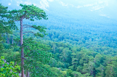 Similar image 10016516