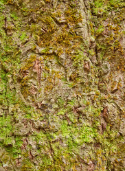 Similar image 10016518