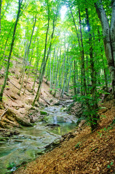 Similar image 10016634