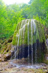 Similar image 10016637