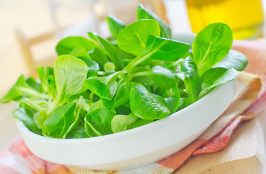 Similar image 10016869