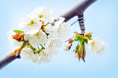 Similar image 10017098