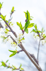 Similar image 10017150