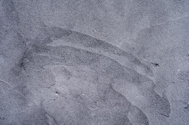 Similar image 10017152