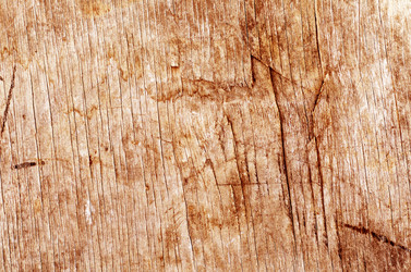 Similar image 10017156