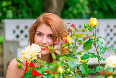 Similar image 10017962