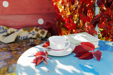 Similar image 10017967