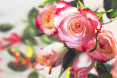 Similar image 10017981