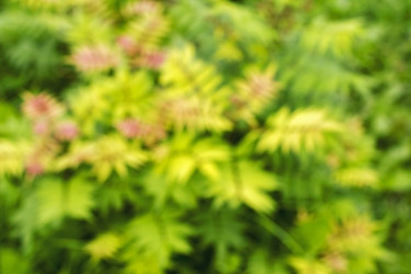 Similar image 10018108