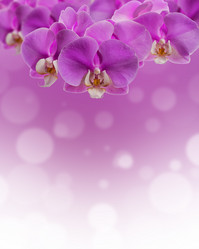 Similar image 10018112