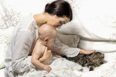 Similar image 10018114