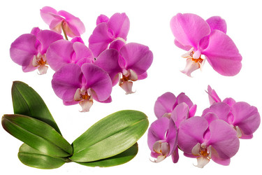 Similar image 10018116