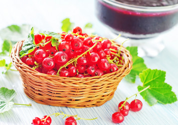 Similar image 10018464