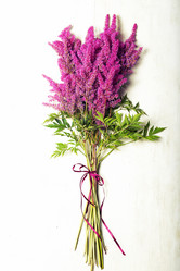 Similar image 10018632