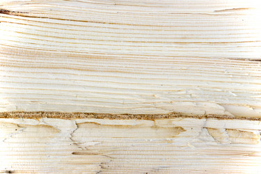 Similar image 10018645