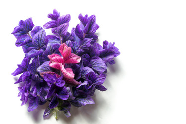 Similar image 10018728