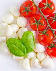 Similar image 10019119